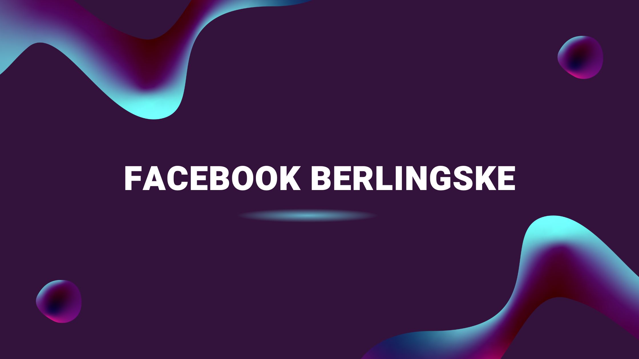 Facebook Berlingske